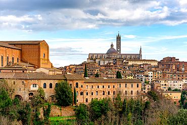 City view with San Domenico Basilica and Cathedral at sunset, Siena, UNESCO World Heritage Site, Tuscany, Italy, Europe