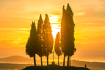 Cypress trees around a Christ cross at sunrise, Tuscany, Italy, Europe