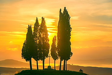 Cypress trees around a Christ cross at sunrise, Tuscany, Italy, Europe