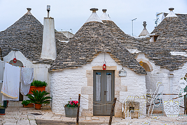 Alberobello iconic old Trullo and Trulli white houses with stone ceilings in conic shape, in Italy