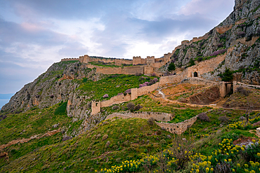 Acrocorinth historic castle on top of the mountain with Euphorbia characias Mediterranean spurge yellow flowers in Greece