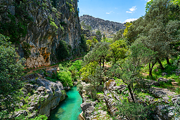 Yazili canyon view with turquoise water and trees on the rocks on a sunny day, in Turkey