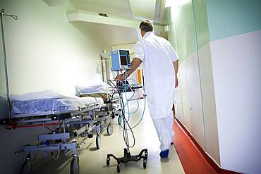 Nurse
