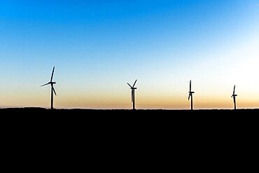 Group of wind turbines at a dawn in silhouette