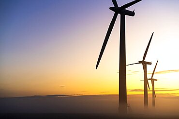 Three commercial wind turbines in thick fog at sunrise in the English countryside