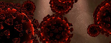 Close up of corona virus molecules in blood stream concept panoramic