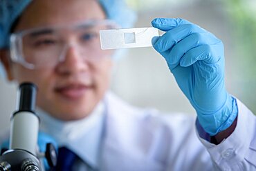 Asian man scientist researching and learning in a laboratory.