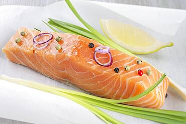 Salmon