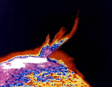 Solar Prominence, Skylab, 1973