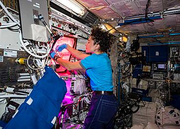 Astronaut Jessica Meir with Space Veggies