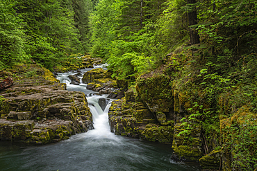 Brice Creek Falls, Umpqua National Forest, Oregon.