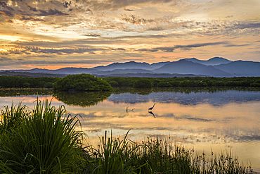 Sunrise at the estuary in San Blas, Nayarit, Mexico.