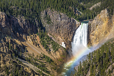 Lower Falls from Lookout Point, Grand Canyon of the Yellowstone River, Yellowstone National Park, Wyoming.