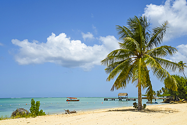 Beach at Pigeon Point Heritage Park on Tobago island, Trinidad & Tobago.