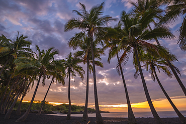 Sunrise at Punalu'u Black Sand Beach, Ka'u District, Island of Hawaii.