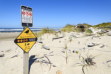 Snowy Plover nesting area beach closure sign near the Siltcoos River, Oregon Dunes National Recreation Area, Oregon Coast.