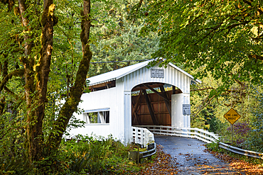 Wildcat Bridge, also known as the Austa Bridge, on Wildcat Creek at the Siuslaw River; Coast Range Mountains, Oregon.