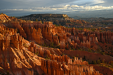 Bryce Canyon at sunrise from Sunset Point; Bryce Canyon National Park, Utah.