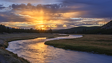 Madison River sunrise; Yellowstone National Park.