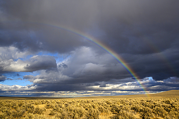 Rainbow over the sagebrush desert of southeast Oregon.