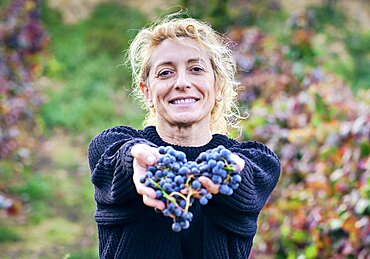 Mature young blondy farmer woman in a vineyard farmland with a bunch of grapes. Iguzkiza, Navarre, Spain, Europe.