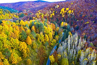 Aerial view of a decidual forest and road in autumn. Close to Irati area. Navarre, Spain, Europe.