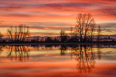 Sunrise over flooded wetlands at William L. Finley National Wildlife Refuge in the Willamette Valley, Oregon.