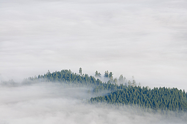 View from summit of Prairie Mountain, Coast Range Mountains, Lane County, Oregon.