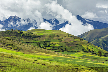 Agricultural fields around the village of Moray and the Andes Mountains rising above Sacred Valley, Peru.