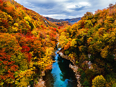 A river surrounded with autumn colors in Jikha, Samegrelo, Georgia (Sakartvelo), Central Asia, Asia