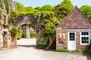 Jersey Zoo (Durrell Wildlife Conservation Trust), established by author and conservationist Gerald Durrell in 1959, Jersey, Channel Islands, Europe