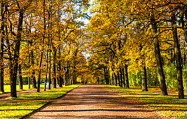 Catherine Park in autumn, Pushkin (Tsarskoye Selo), near St. Petersburg, Russia, Europe