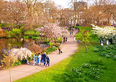 Springtime in St. James's Park, London, England, United Kingdom, Europe