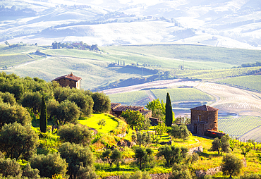 Belvedere di Montalcino, UNESCO, Province of Siena, Tuscany, Italy