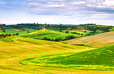 Rolling hills of Val d'Orcia, Tuscany, Italy