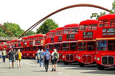 Routemaster buses parade at the 70th anniversary of the first Routemaster bus, RM1, London, England