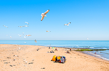 Seagulls watching people enjoying sunshine on a beach near Ramsgate, along the Viking Coastal Trail to Margate, Kent, England