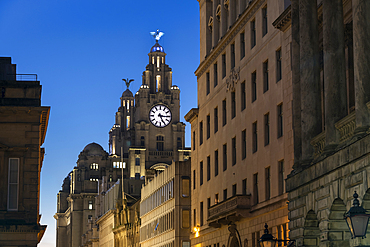 The Liver Building at night, Water Street, Liverpool, Merseyside, England, United Kingdom, Europe