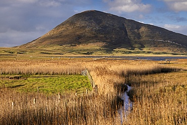 Northton Reed Beds backed by Ceapabhal, near Scarista, Isle of Harris, Outer Hebrides, Scotland, United Kingdom, Europe