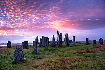 The Callanish Standing Stones at sunrise, Callanish, Isle of Lewis, Outer Hebrides, Scotland, United Kingdom, Europe