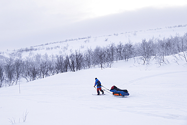 Cross Country Ski Trekker pulling a sled in winter over the remote Finnmark Plateau, near Alta, Finnmark Plateau, Troms og Finnmark, Norway, Scandinavia, Europe