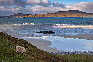 The Island of Taransay viewed across Seilebost Beach, Isle of Harris, Outer Hebrides, Scotland, United Kingdom, Europe