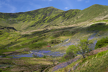 Cwm Pennant in spring backed by the Nantlle Ridge, Cwm Pennant, Snowdonia National Park (Eryri), Gwynedd, North Wales, United Kingdom, Europe