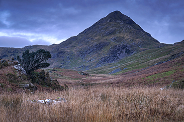 Cnicht, Moelwynion Mountains, Snowdonia National Park, Eryri, North Wales, UK