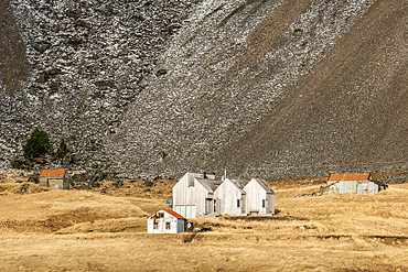 Icelandic Farmstead below Mount Eystrahorn in winter, Krossanesfjall Mountains, Southeast Iceland, Europe