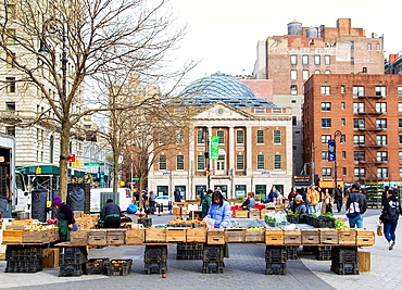 Union Square Green Market, with the Tammany Hall building behind, Manhatten, New York, United States of America, North America