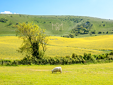 The Long Man of Wilmington, a hill carving on the Sussex Downs, possibly Neolithic, 15th century or later, above the village of Wilmington, East Sussex, England, United Kingdom, Erope