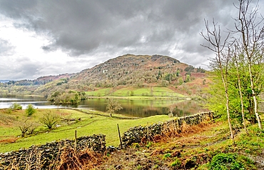 Rydal Water, 2 km long and over 15 metres deep, Lake District National Park, UNESCO World Heritage Site, Cumbria, England, United Kingdom, Europe