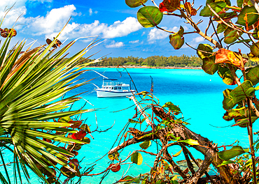 A boat from the local Aquarium and Zoo moored off the Nonsuch Island, Nature Reserve or Living Museum, Bermuda, North Atlantic, North America