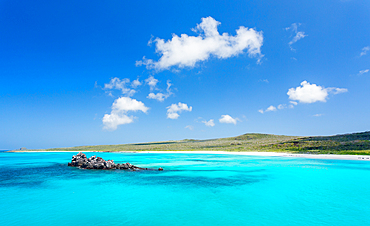 Gardner Bay, Espanola Island, Galapagos, UNESCO World Heritage Site, Ecuador, South America